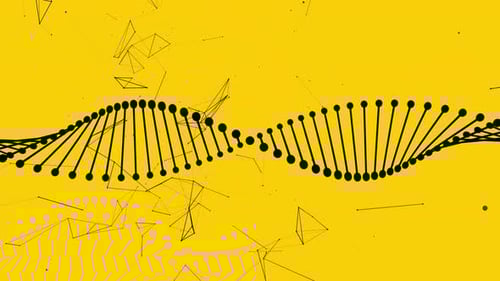 Dna Strand and Plexus - Yellow