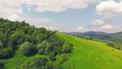 Aerial Flying Over a Forest of Green Trees. Background of Green Trees. Drone Footage