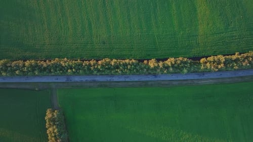 A Blue Car is Driving Along a Road Between Green Fields
