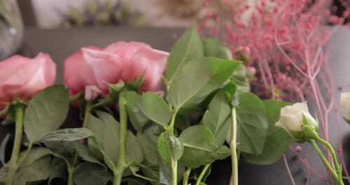 Beautiful Roses Arranged for Floral Arrangement