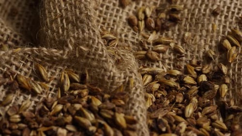 Tiro rotativo de cevada e outros ingredientes de fabricação de cerveja