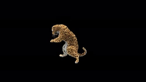 Leopard Dancing 4K