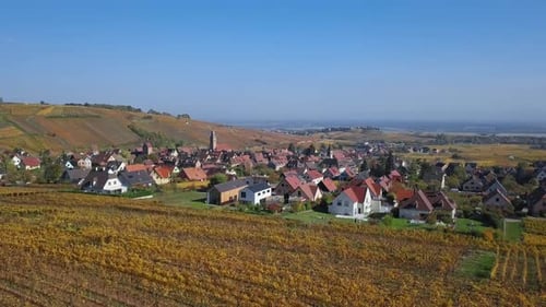 Survol des vignobles de Riquewihr, France