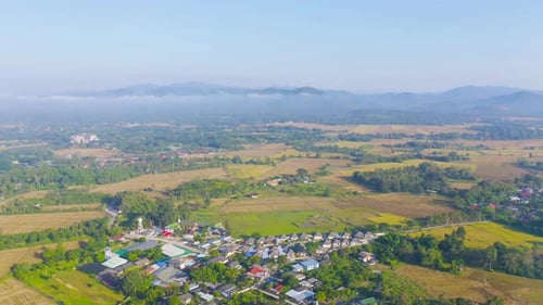 Vista aérea superior de arroz em casca fresco, campo agrícola verde na zona rural