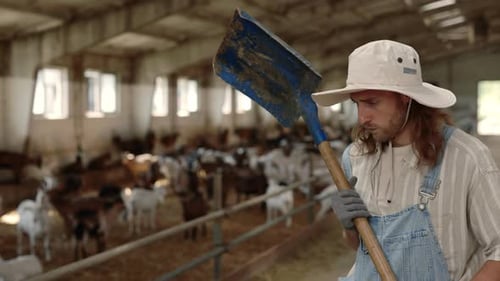Farm Worker Using Shovel for Cleaning Ranch with Goats