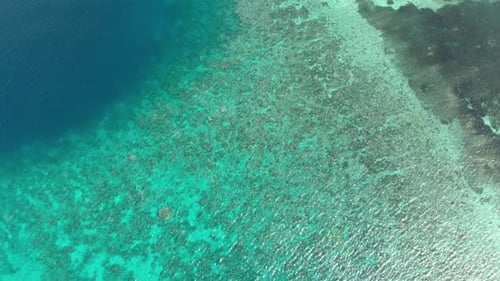 Luftbild: Flug über Korallenriff, türkisfarbenes Wasser, tropische Insel
