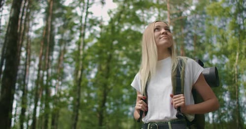 Woman Exploring Glade with Ferns in the Woods. Hiking Woman Walk in Rainforest Jungle. Girl Hiker