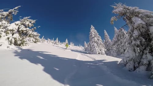 La pólvora gira en cámara lenta con nieve cubriendo toda la toma en un día de Bluebird en la nieve