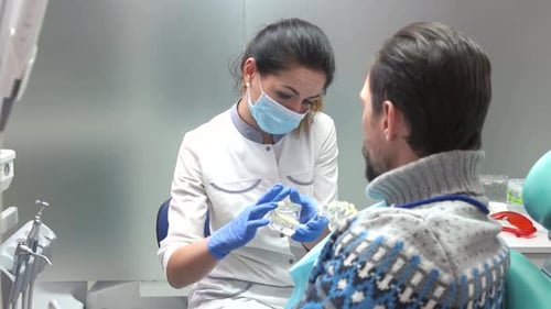 Woman Dentist Explains Dental Model to Patient