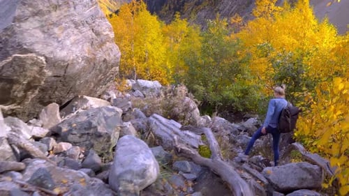 Woman Hikes Through Fall Colored Mountain Environment