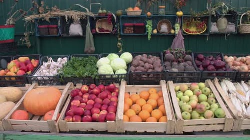 Gemüse und Obst auf der Market Counter.