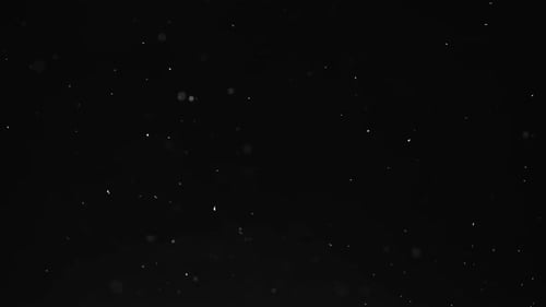 Dust Particle