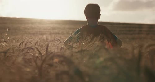 Young boy stands in a golden field during sunset - raising his hands in victory