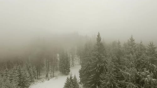 Winterwald durch die Wolken