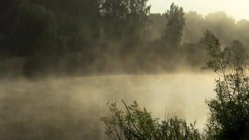 Misty Early Morning at Forest Lake