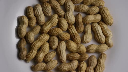 Peanuts in Shells Close Up