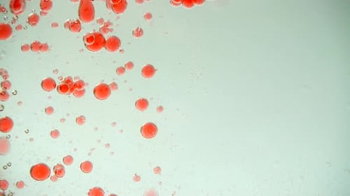 Floating Red Bubbles in a Clear Liquid