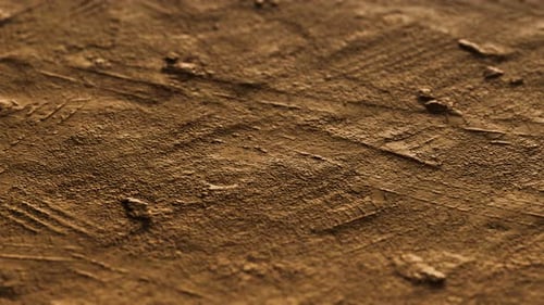 Closeup of Dirty Ground Road