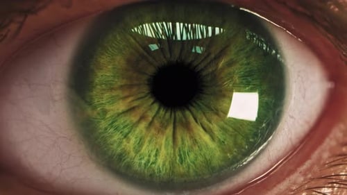 Macro View of Human Green Eye Iris