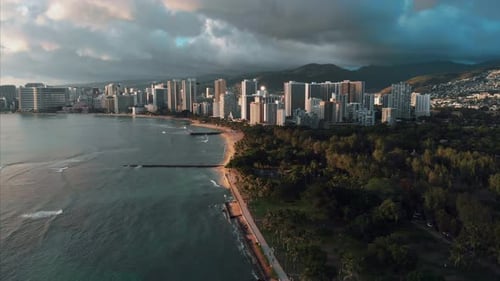 Aerial drone footage of Honolulu, Hawaii.
Beautiful real estate, buildings in the city.
Palm trees