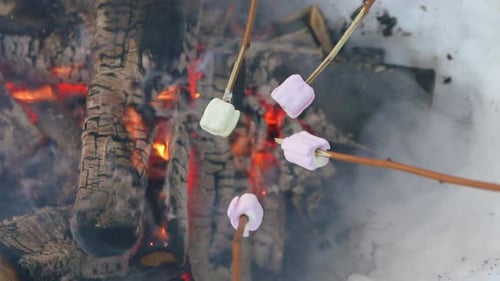 Malvaviscos fritos en llamas en invierno