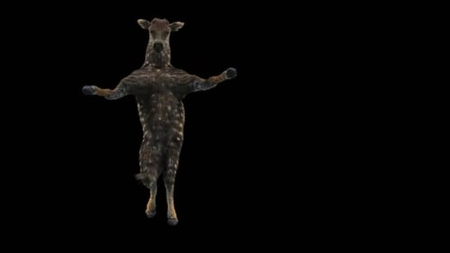 Animated Spotted Deer Standing and Rotating Alpha Loop