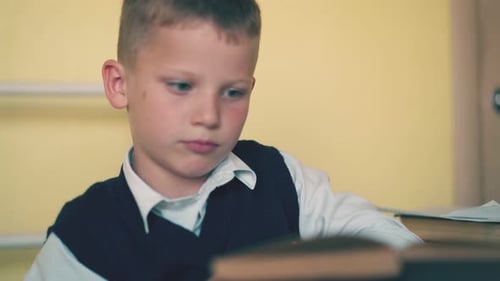 Young Boy Reading a Book at School