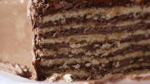 Delicious Layered Chocolate Cake Close Up
