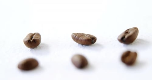 Roasted coffee beans