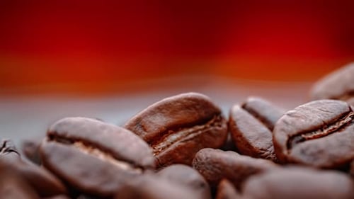 Close Up of Seeds of Coffee