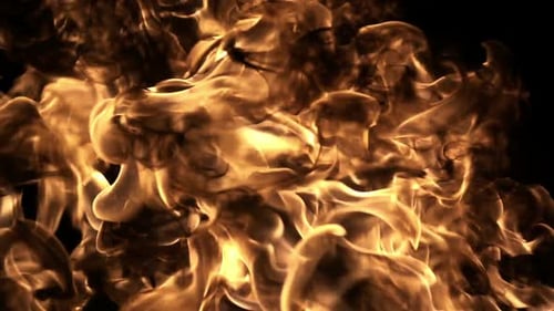 Golden Flames Dancing on Black Background