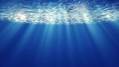 Viaje oceánico bajo el agua