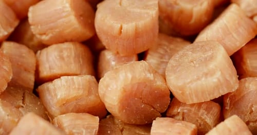 dry scallop