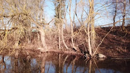 Paysage printanier de White Lake 08