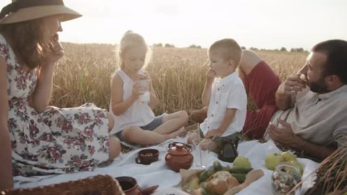Family Picnic in Grassy Rural Field on Sunny Day