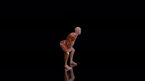 3D Human Anatomy Kettlebell Swing Exercise Animation