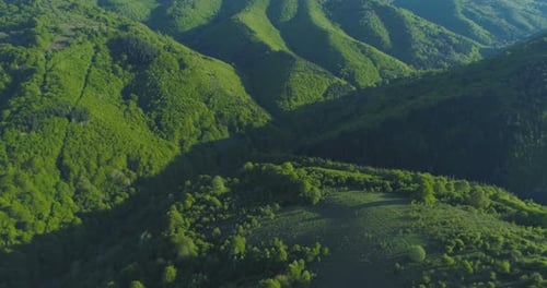Aerial View of Rolling Green Hills with Dense Forests and Fresh Pastures in Sunny Day