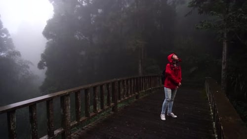Ethnic traveler standing on footbridge and exploring forest