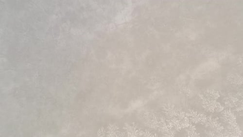 Aerial View of Winter Forest with Snow