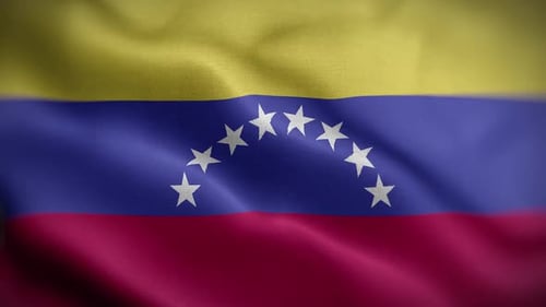 Waving Venezuelan Flag Realistic Loop Animation