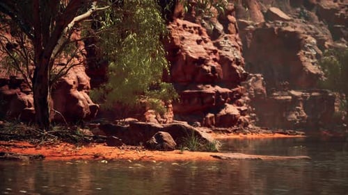 Reflection in Colorado River in Grand Canyon