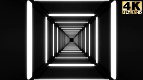 Neon Light Tunnels 7 Pack Loop