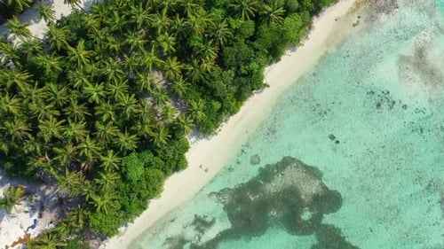Aerial above seascape of tranquil coastline beach adventure by blue water with white sand background