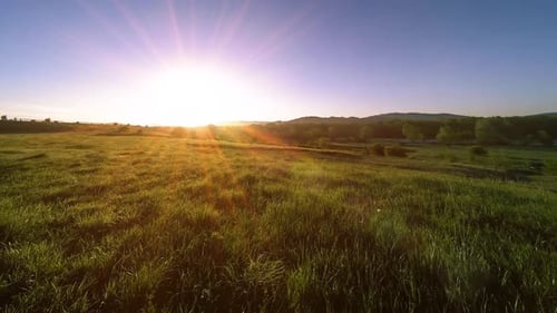 UHD Mountain Meadow Timelapse at the Summer. Clouds, Trees, Green Grass and Sun Rays Movement