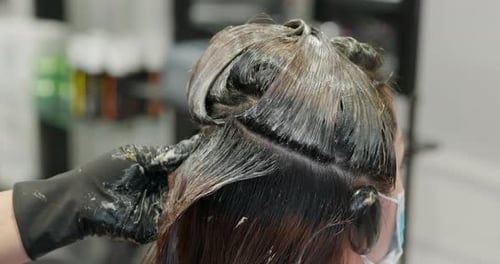 Hair Dye Applied to Brunette Hair at Salon