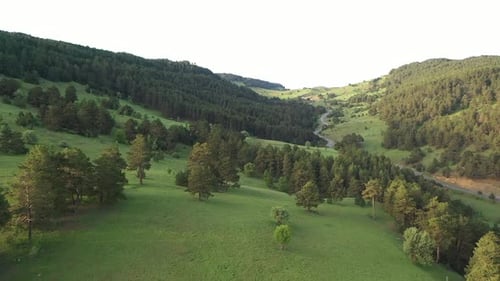 Route forestière aérienne et vallée verte