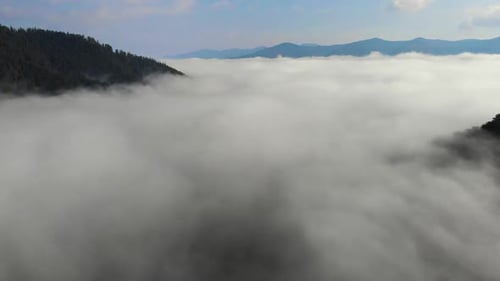 Aerial drone shot of amazing dense fog above river between mountains.