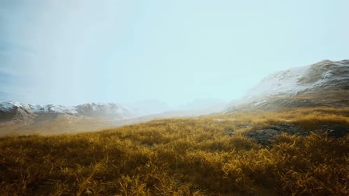 Dry Grass and Snow Covered Mountains in Alaska