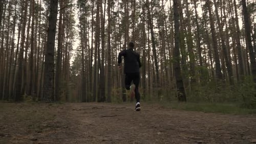 Running Man In Forest