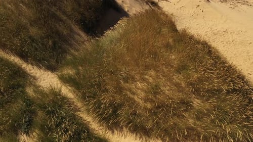 Drone Rising From Grass To Beach And Sea